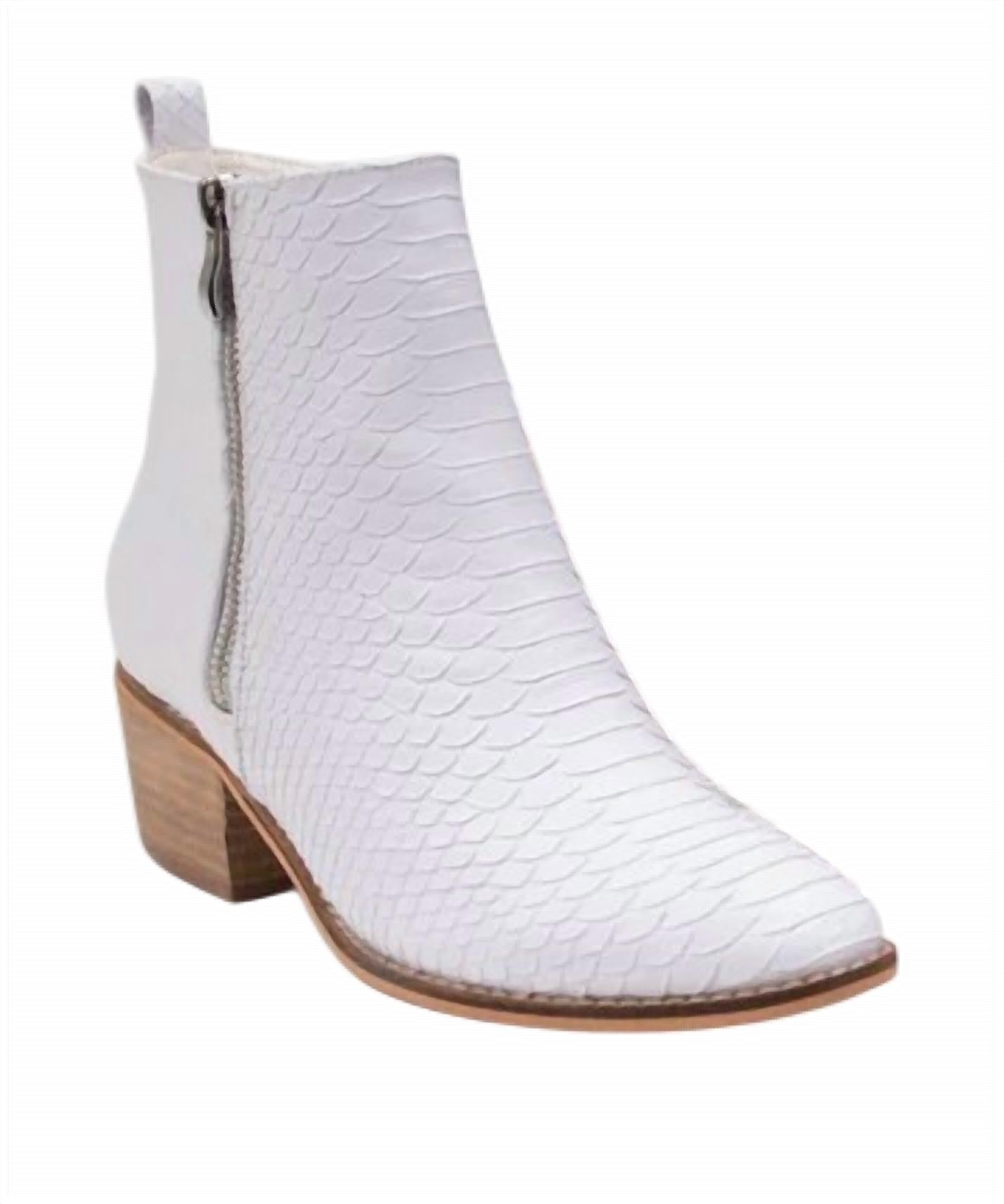 20a478fc-a379-463a-b8ab-979dd778ecb5-upscale_15k-1500x1500-1 Ccocci - Women's Tory Croc Booties - Image 1