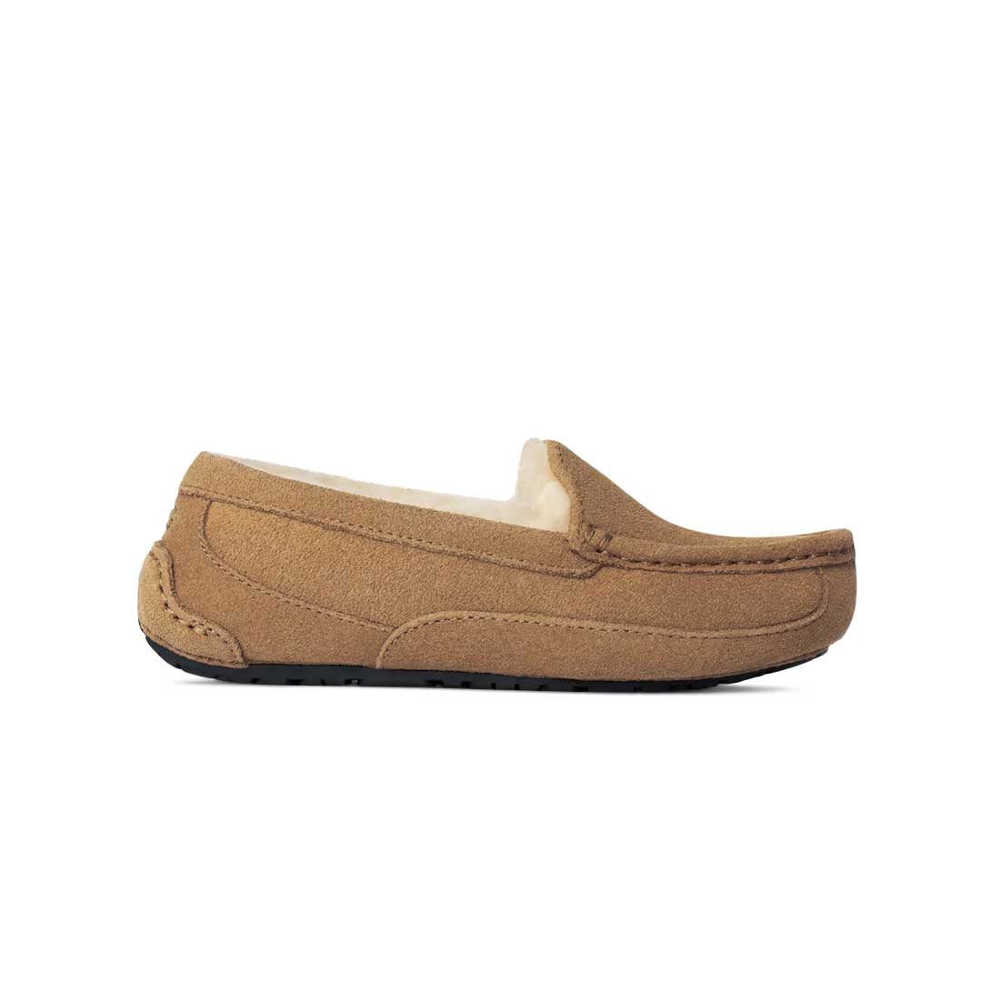 UGG_-Kids_-_Preschool-_-Junior_-Ascot-Slipper-_1120886K-CTSD_1 UGG - Kids' (Preschool) Ascot Slippers (1120886K-CTSD) - Image 1